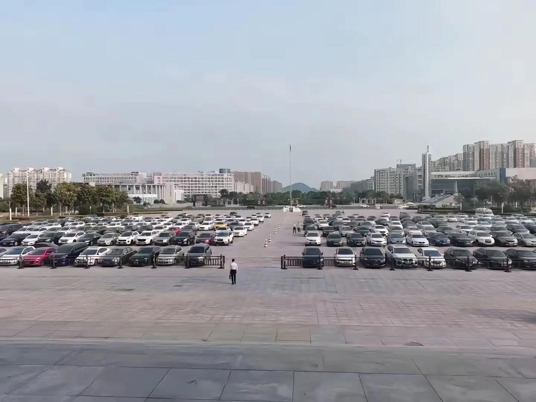 專業化政府翻譯服務的價值與流程解析